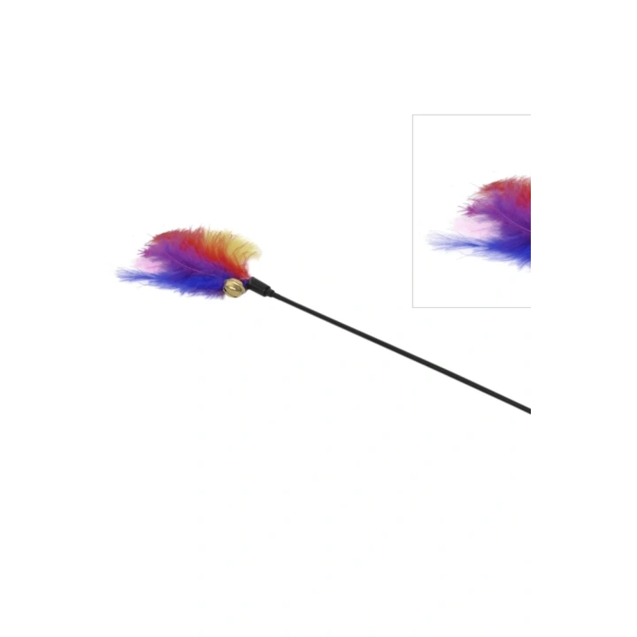 BFS Kedi Oltası
