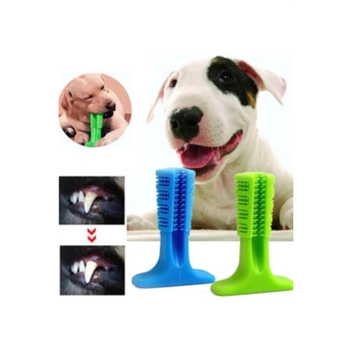 BFS  Köpek Diş Temizleyici ve Kaşıyıcı Sağlıklı Küçük Boy Oyuncak