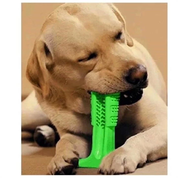 BFS  Köpek Diş Temizleyici ve Kaşıyıcı Sağlıklı Küçük Boy Oyuncak