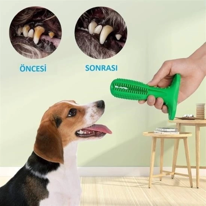 BFS  Köpek Diş Temizleyici ve Kaşıyıcı Sağlıklı Küçük Boy Oyuncak