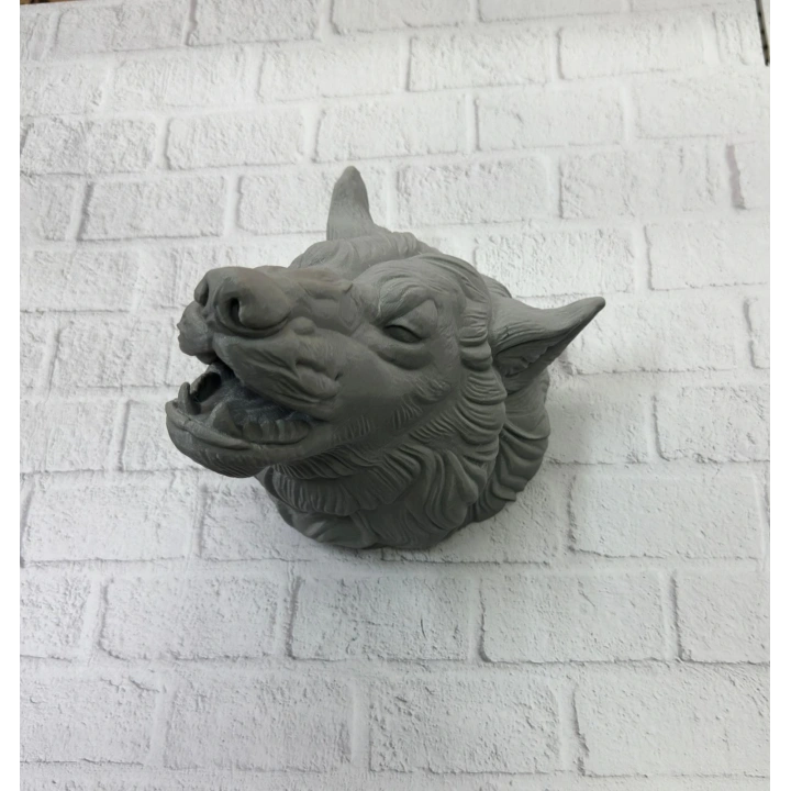 BFS Kurt Başı Duvar Aksesuarı Gri Renk Asılabilir Hediyelik Figür