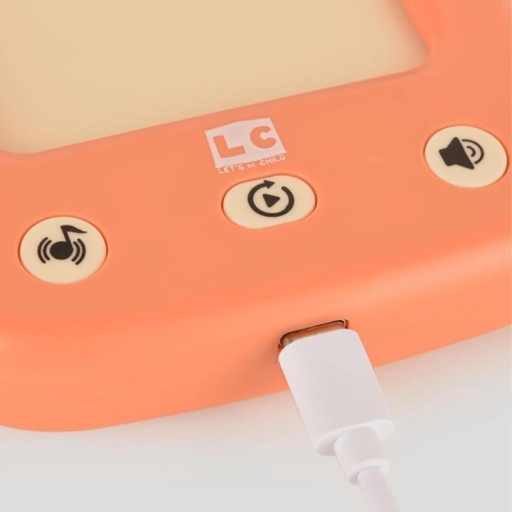 BFS   LC-31050ÖğreticiTürkçe-İngilizceKonuşanFlashKartlar-LetsBeChild