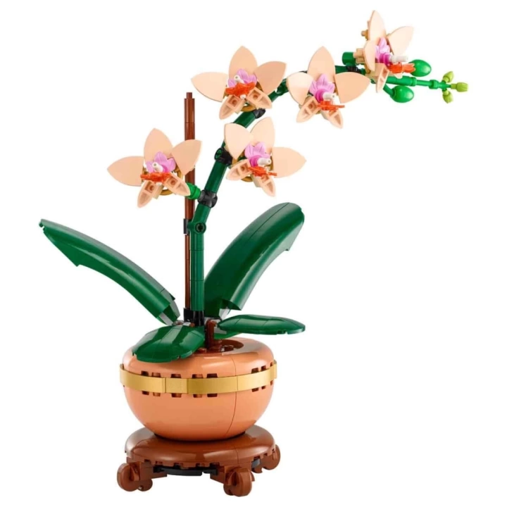 BFS   LEGO Botanicals Mini Orkide 10343
