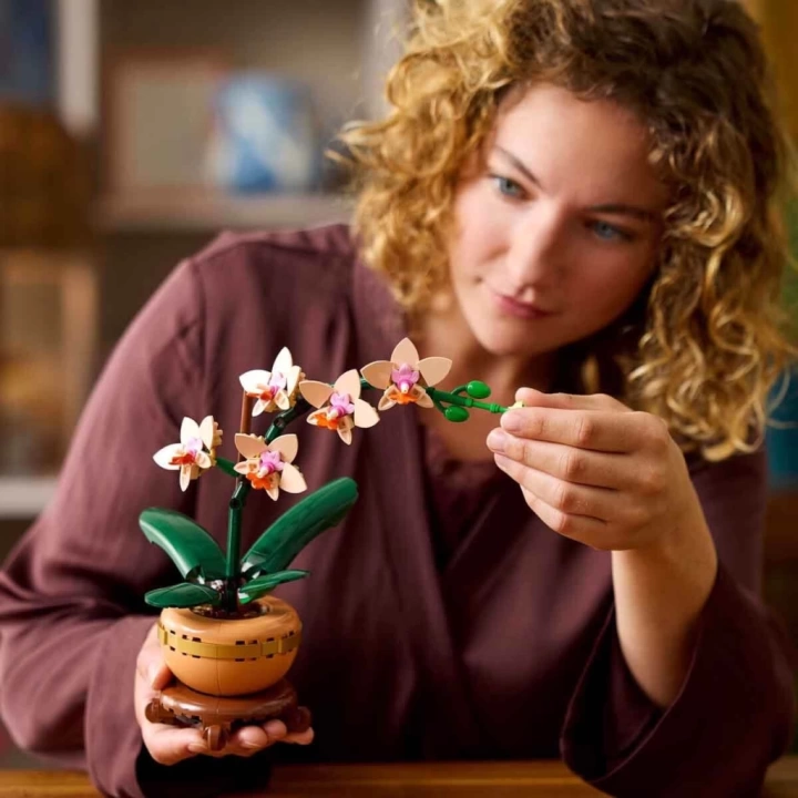 BFS   LEGO Botanicals Mini Orkide 10343