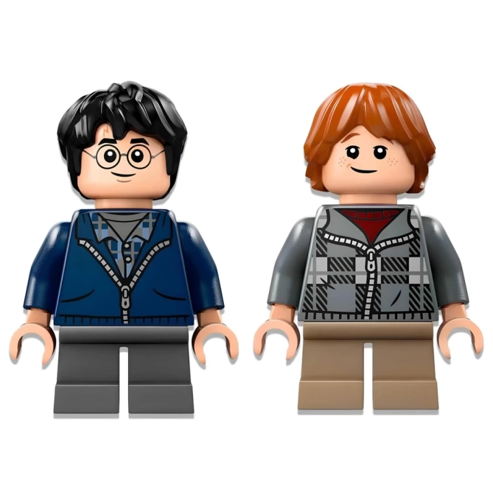 BFS   LEGO Harry Potter Aragog Yasak Ormanda 76434