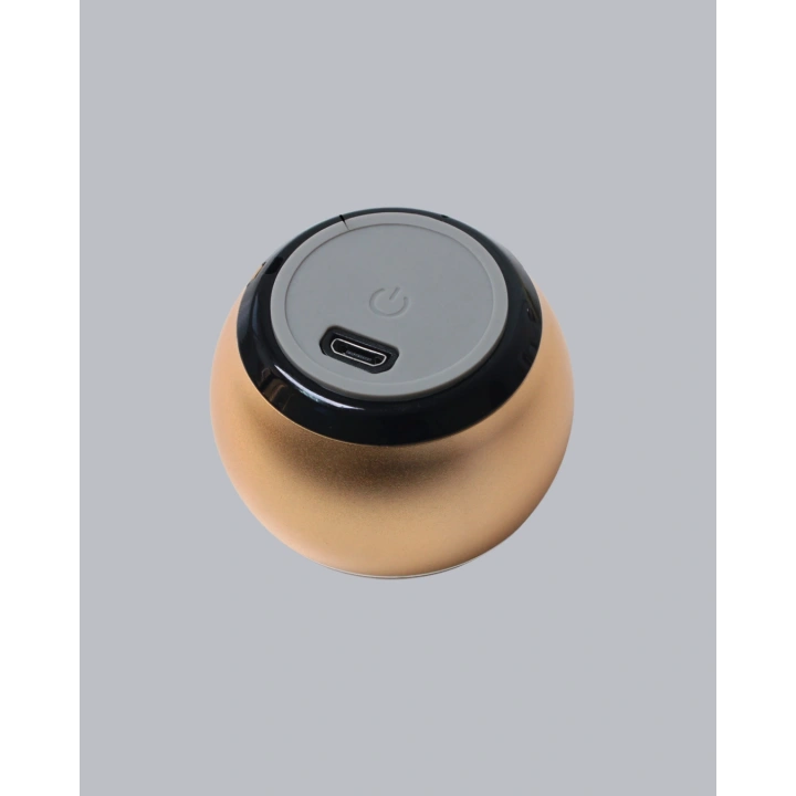 BFS Mini Bluetooth Hoparlör TWS Özellikli Taşınabilir Güçlü Ses