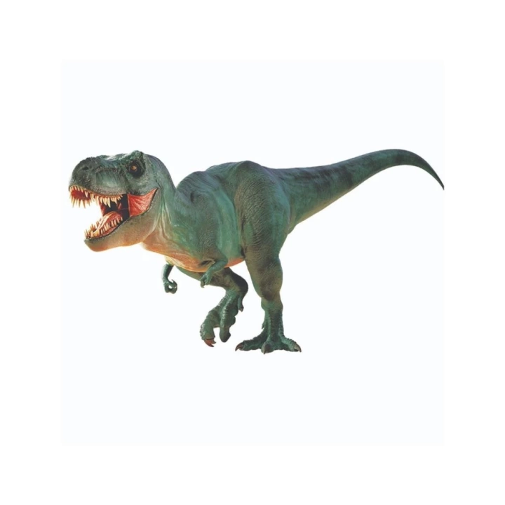 BFS   NAT06002  Dino Kazı Kiti - RTNGDINO2 +8 yaş