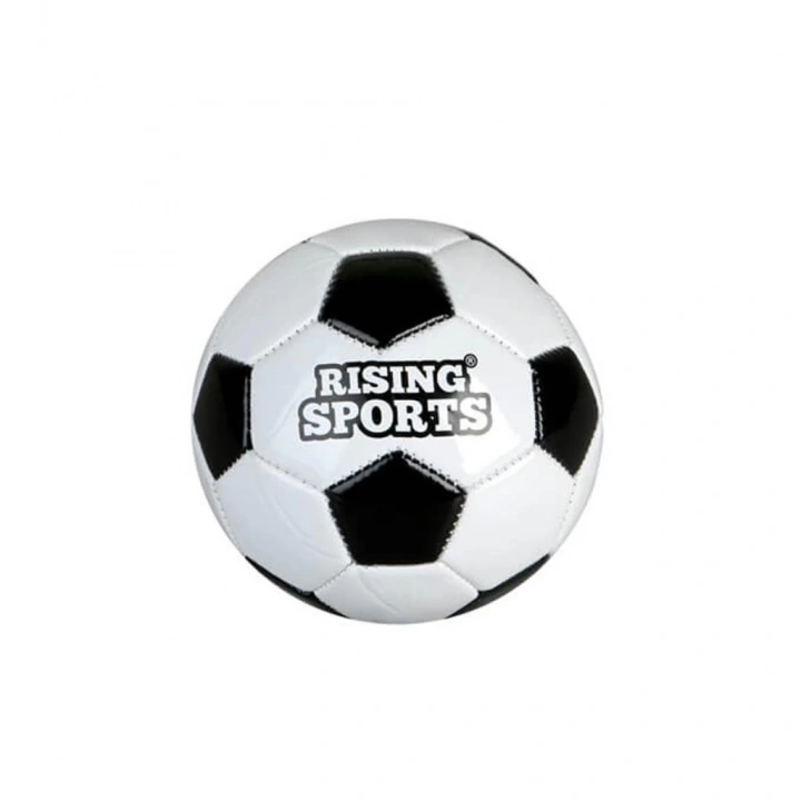 BFS Nessiworld 0333 Futbol Topu Size 2