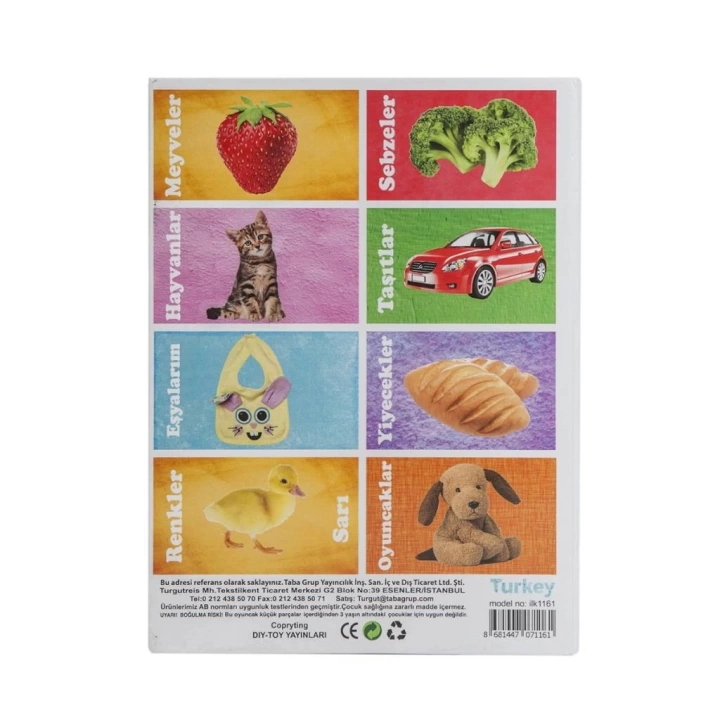 BFS Nessiworld 1161  Flash Cards  İlk 50 Sözcük -DıyToy