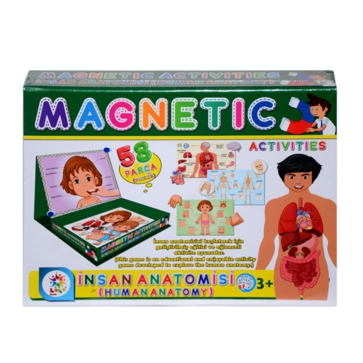 BFS Nessiworld LC7171 Laço, Laço, Manyetik Aktiviteler - İnsan Anatomisi / +3 yaş