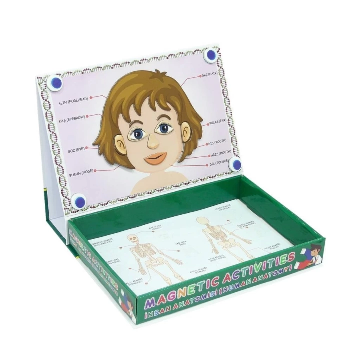 BFS Nessiworld LC7171 Laço, Laço, Manyetik Aktiviteler - İnsan Anatomisi / +3 yaş