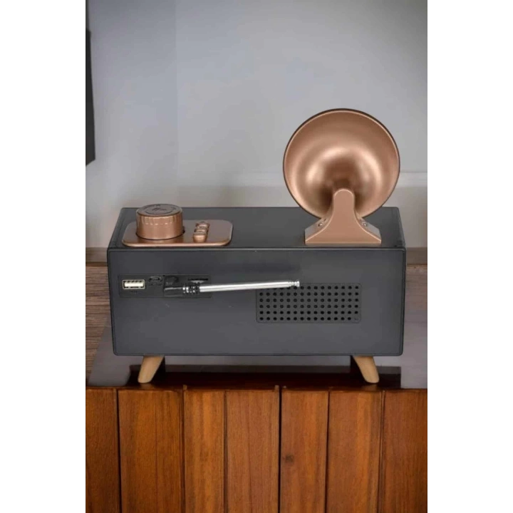 BFS Nostaljik Görünümlü Bluetooth Bağlantılı Speaker