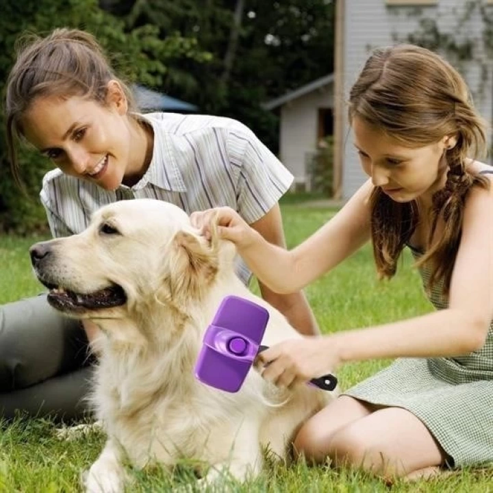 BFS   Otomatik Temizlenebilen Tuşlu Pratik Kedi Köpek Tüy Toplama Fırçası