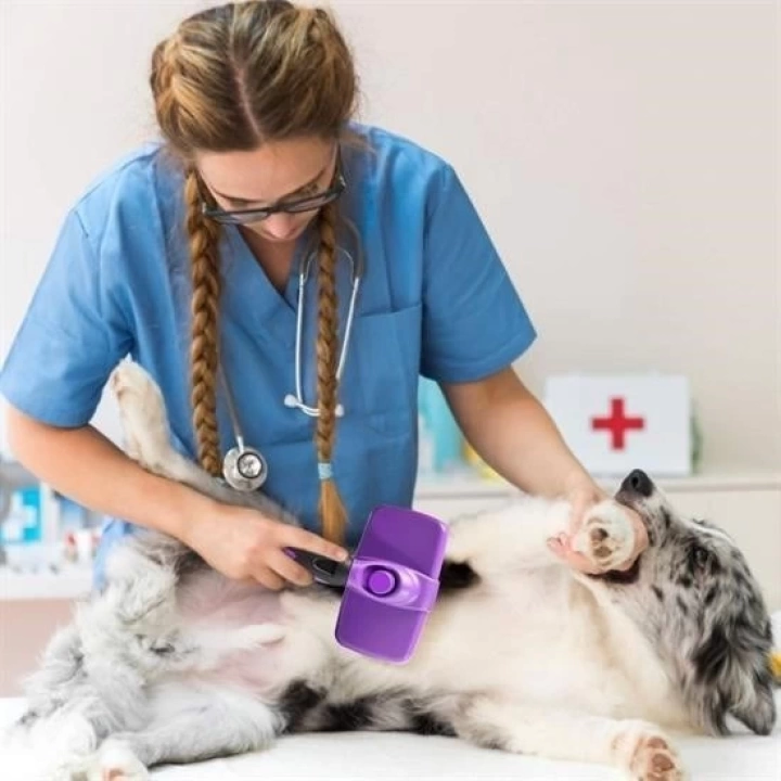 BFS   Otomatik Temizlenebilen Tuşlu Pratik Kedi Köpek Tüy Toplama Fırçası