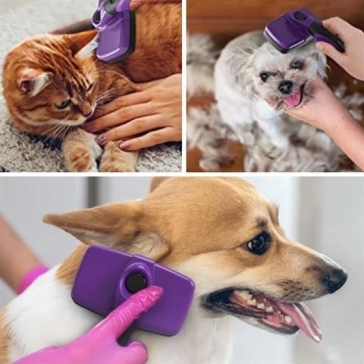 BFS   Otomatik Temizlenebilen Tuşlu Pratik Kedi Köpek Tüy Toplama Fırçası