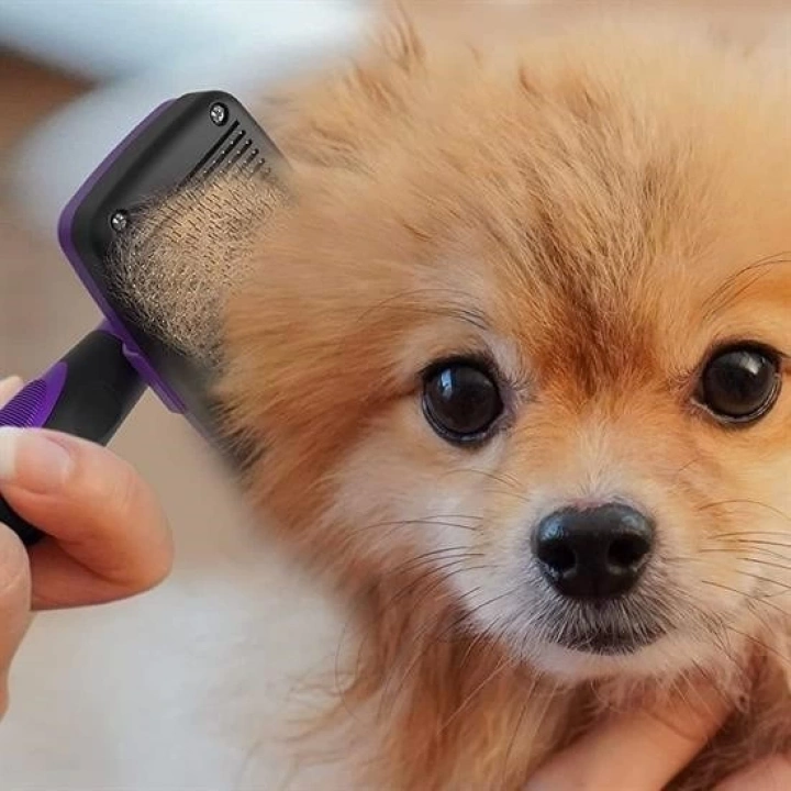 BFS   Otomatik Temizlenebilen Tuşlu Pratik Kedi Köpek Tüy Toplama Fırçası