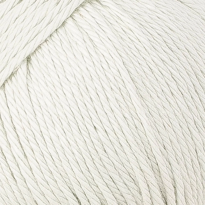 BFS  Pastel Cotton Uçuk Yeşil El Örgü İpi - L176 - 33953