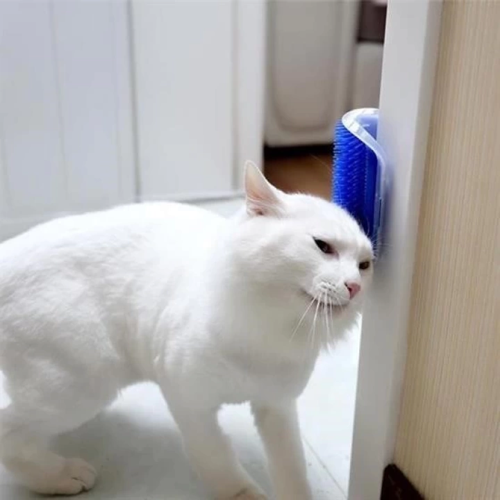 BFS   Pratik Kedi Tüyü Kaşıma Ve Tarama Aparatı Duvara Monte Kaşıma Aleti