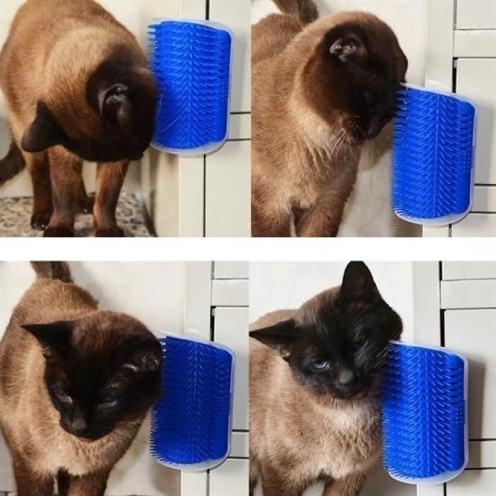 BFS   Pratik Kedi Tüyü Kaşıma Ve Tarama Aparatı Duvara Monte Kaşıma Aleti
