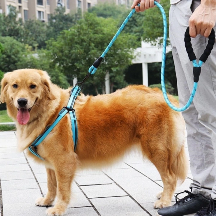 BFS  Reflektörlü Fosforlu Köpek Gezdirme Halatı Tasma Kayışı Metal Kancalı 130 cm