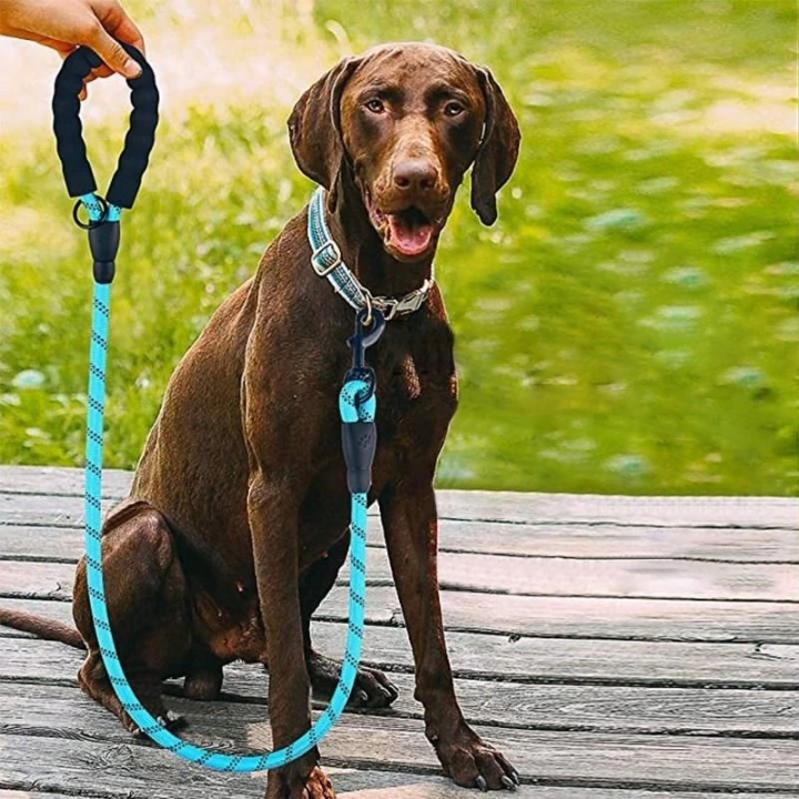 BFS  Reflektörlü Fosforlu Köpek Gezdirme Halatı Tasma Kayışı Metal Kancalı 130 cm