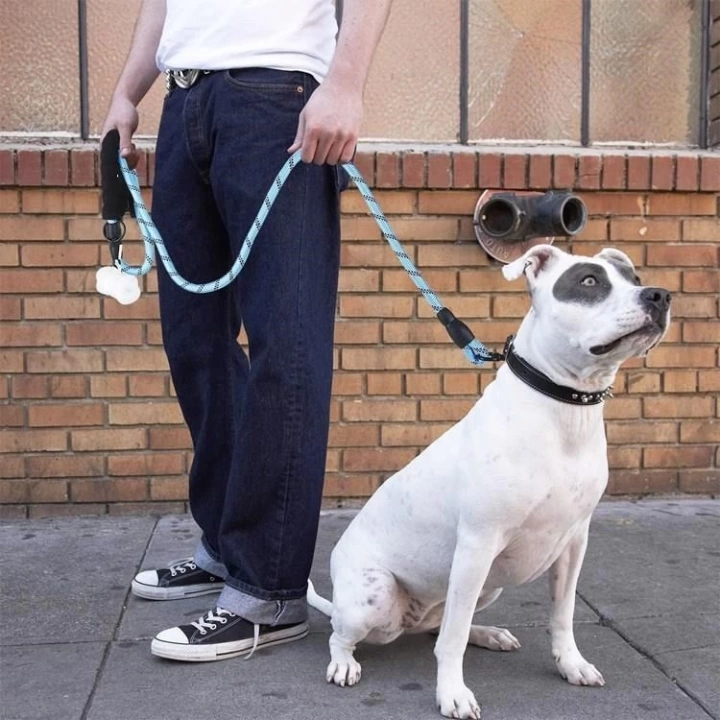BFS  Reflektörlü Fosforlu Köpek Gezdirme Halatı Tasma Kayışı Metal Kancalı 130 cm