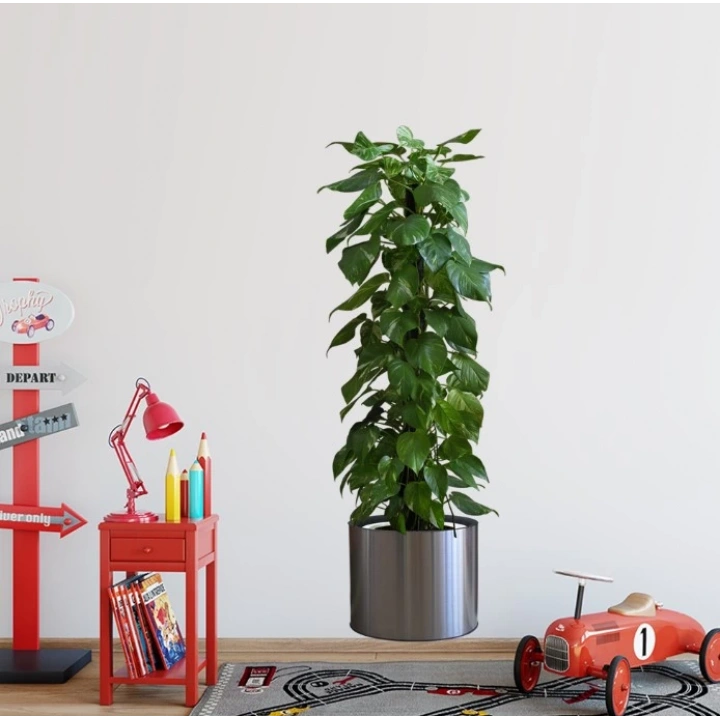 BFS  Saksılı Bitki Tasarımlı Yapışkanlı Sticker Resim 90*30 cm MC-665