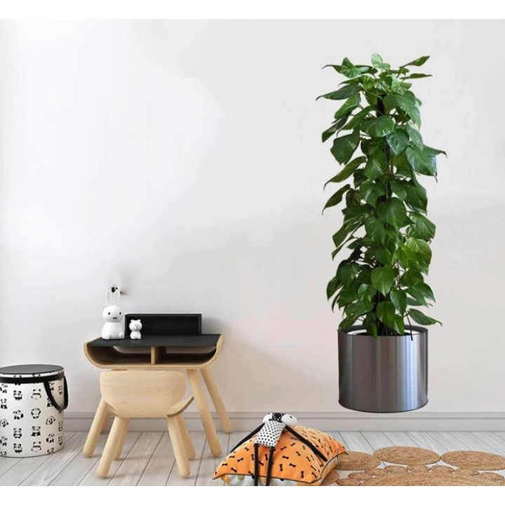 BFS  Saksılı Bitki Tasarımlı Yapışkanlı Sticker Resim 90*30 cm MC-665