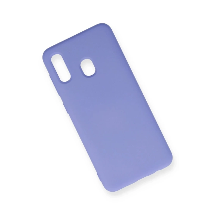 BFS  Samsung Galaxy A20 Kılıf Nano içi Kadife Silikon - Lila