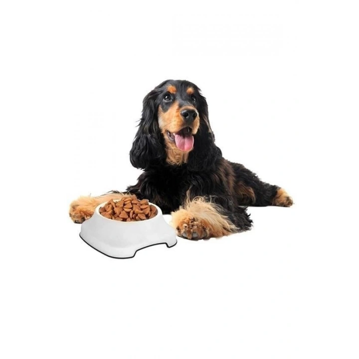 BFS  Silikon Kaydırmaz Taban Plastik Kedi ve Köpek Mama ve Su Kabı 2 L