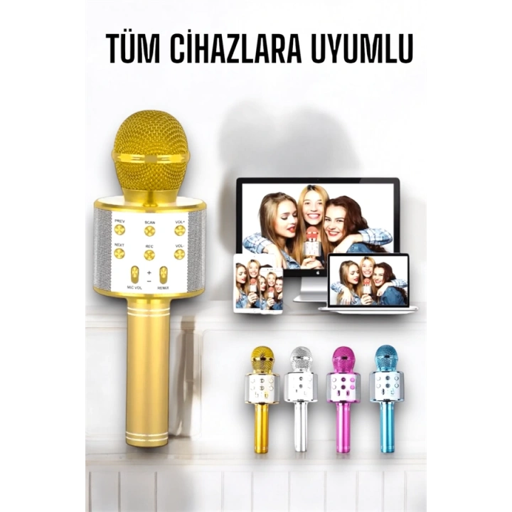 BFS Taşınabilir Bluetooth Karaoke Mikrofon: Hafıza Kart Girişli, Etkileyici Performans