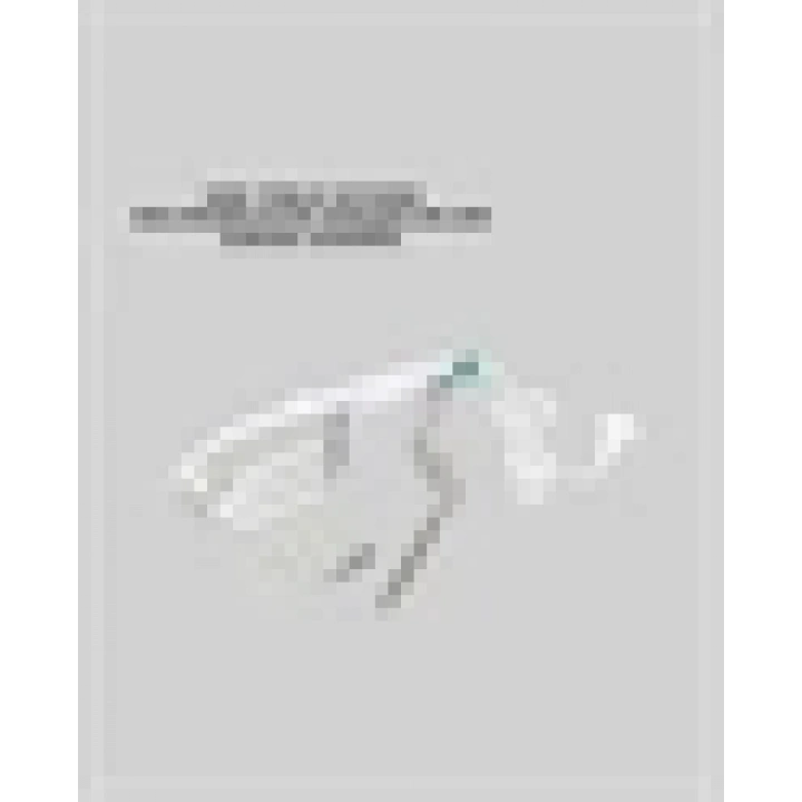 BFS Taşınabilir Buharlı Ütü 1500W | Giysilerde Yanık Bırakmaz, Kokuyu Giderir