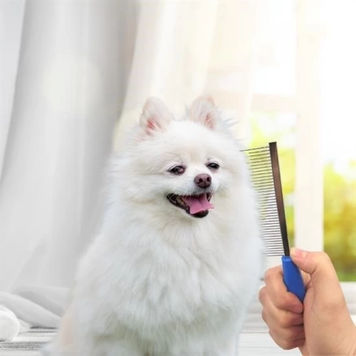 BFS  Tüy Açıcı Kedi Köpek Tarağı Tek Taraflı Metal Dişli Evcil Hayvan Bakım Fırçası