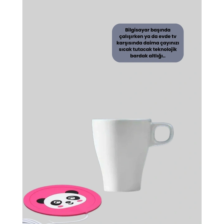 BFS USB BARDAK ISITICI PANDA