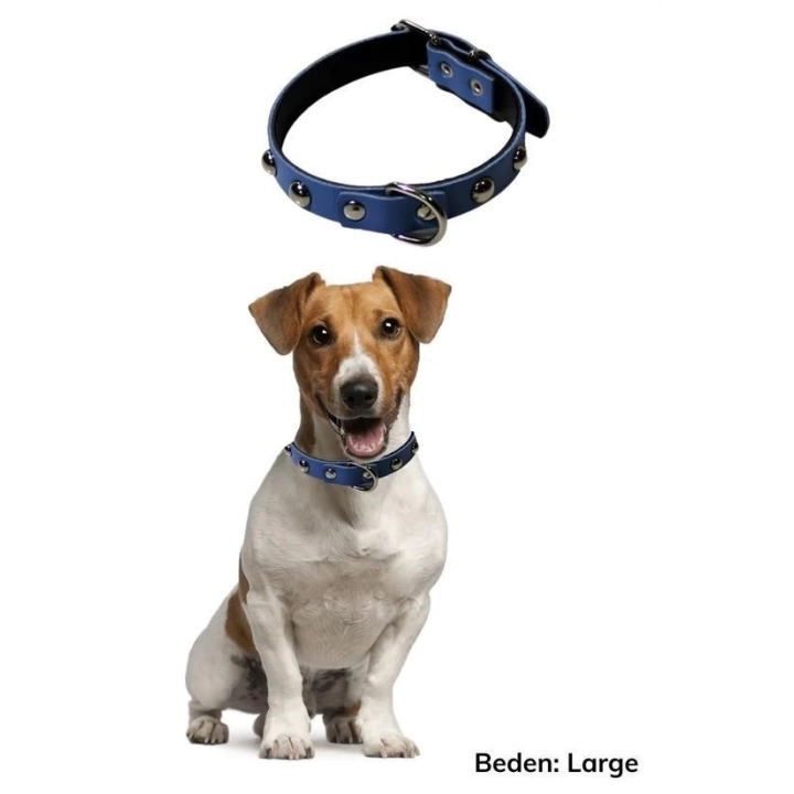 BFS  Yumuşak Dokulu Deri Köpek Gezdirme Boyun Tasması (Large)
