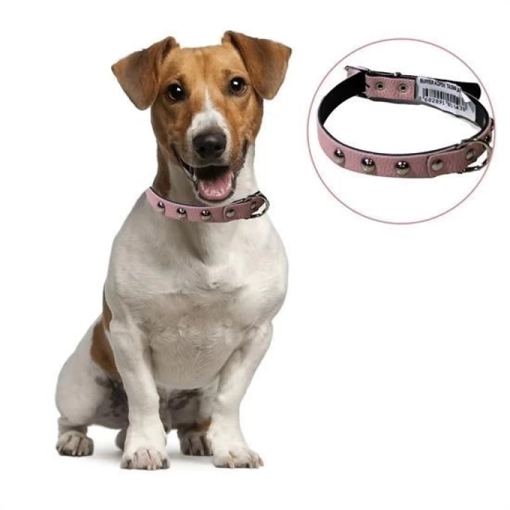 BFS  Yumuşak Dokulu Deri Köpek Gezdirme Boyun Tasması Medium