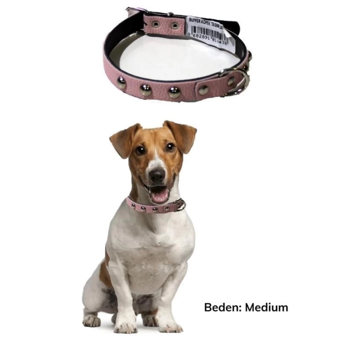 BFS  Yumuşak Dokulu Deri Köpek Gezdirme Boyun Tasması Medium