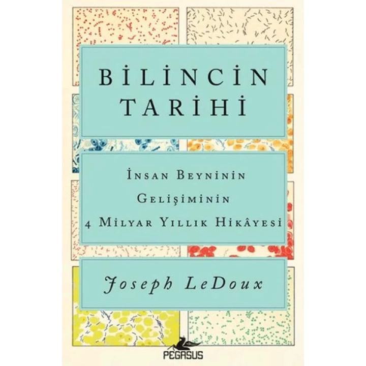 Bilincin Tarihi: İnsan Beyninin Gelişiminin 4 Milyar Yıllık Hikayesi