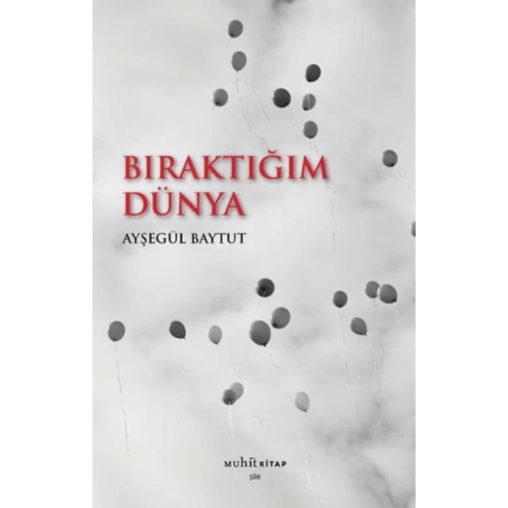 Bıraktığım Dünya