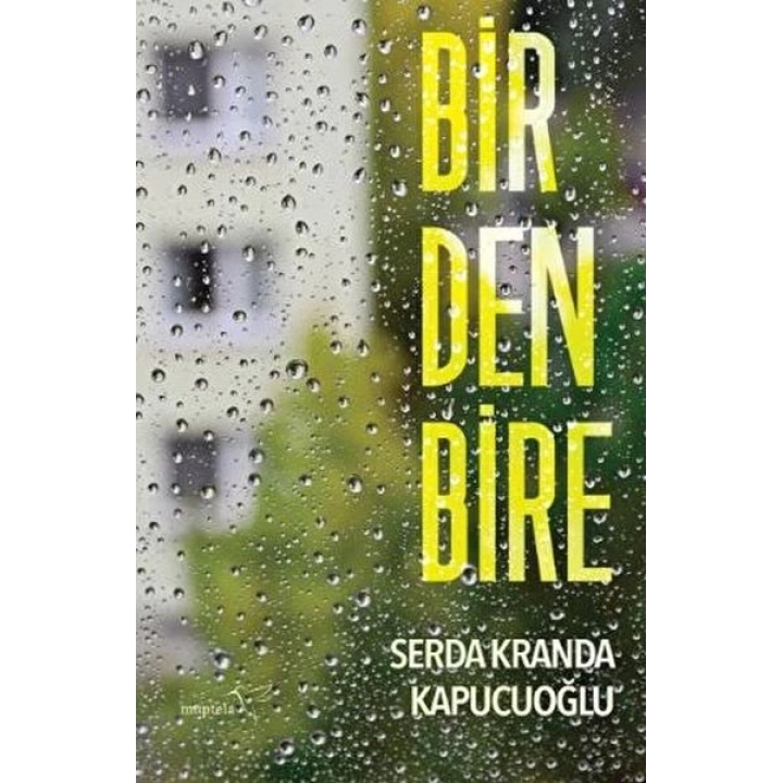 Birdenbire