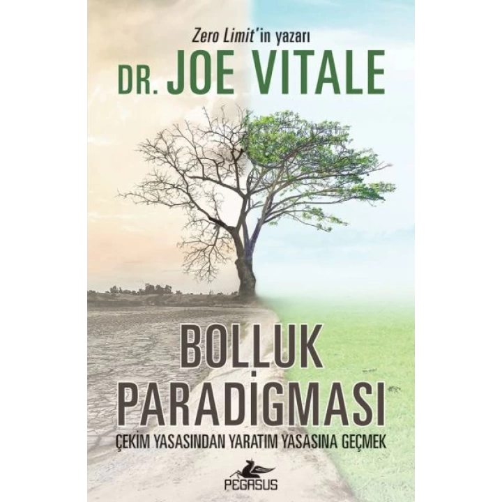 Bolluk Paradigması