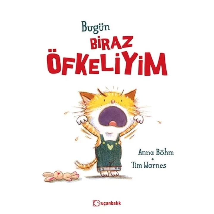Bugün Biraz Öfkeliyim
