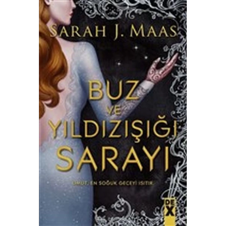 Buz ve Yıldızışığı Sarayı