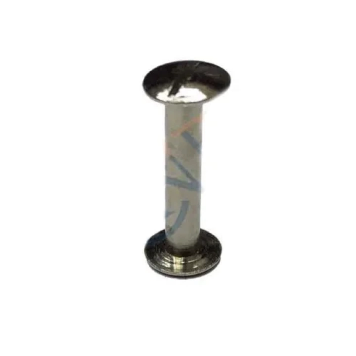 Cilt Menü, Katalog, Kartela Vidası, 20 Mm - Nikel, 1 Adet
