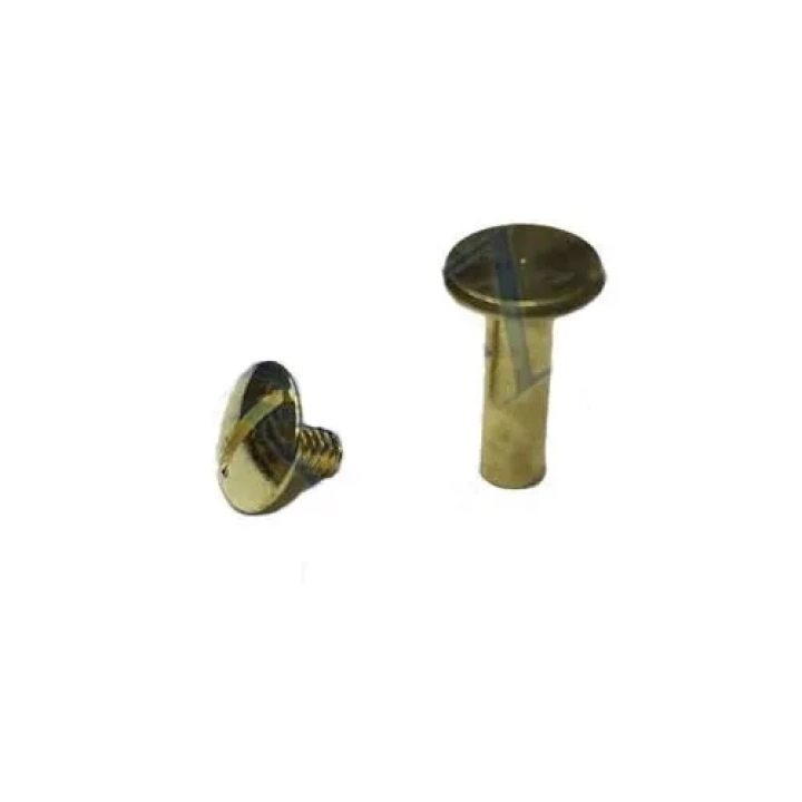 Cilt Menü, Katalog, Kartela Vidası, 20 Mm - Sarı, 100 Adet