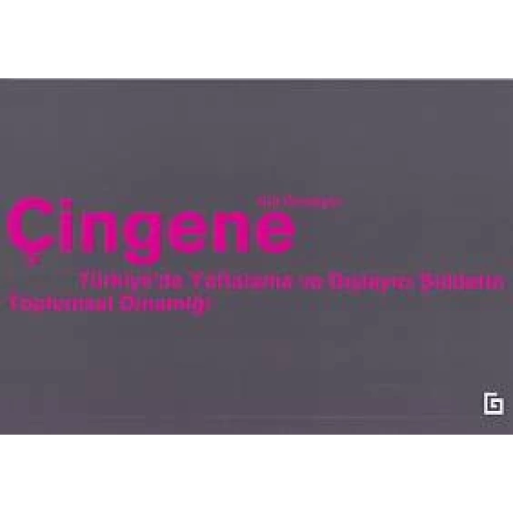 Çingene - Türkiyede Yaftalama ve Dışlayıcı Şiddetin Toplumsal Dinamiği