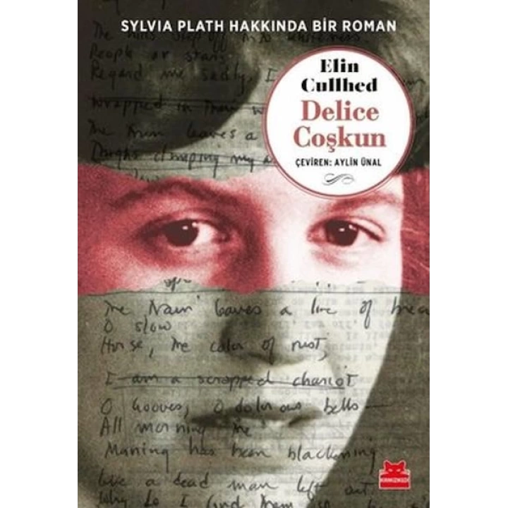 Delice Coşkun - Sylvia Plath Hakkında Bir Roman