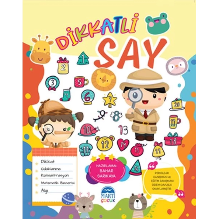Dikkatli Say