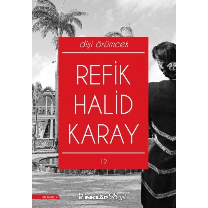 Dişi Örümcek (Yeni Kapak)