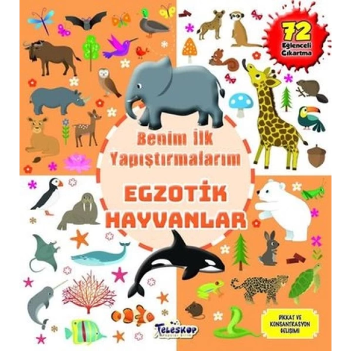 Egzotik Hayvanlar - Benim İlk Yapıştırmalarım